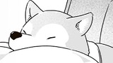 一緒に散歩
