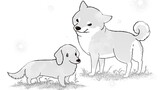 何度でも言うね、大好きだよ 愛犬グミと銀次郎と過ごした日々