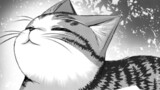 我輩は猫魔導師である ～キジトラ・ルークの快適チート猫生活～