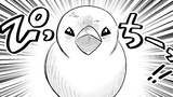 めじとやも