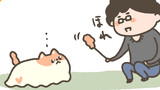 とけねこ