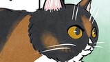 ポーランドからやってきたマダム猫の古民家暮らし