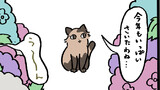 ポンポコンヌ