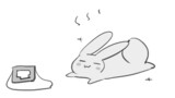 『君とうさぎ。』
