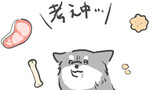 犬目線相談室