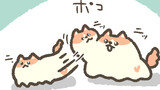 とけねこ