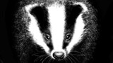 Badger & Skunk
