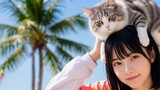 猫のせ