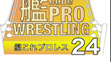 【C108新刊１】艦これプロレス24
