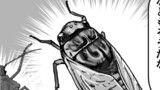 クック先生の動物講座