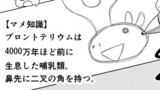 第59話「しんろ」の1