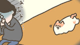 とけねこ