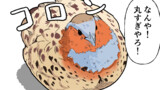 男子高校生が鳥見る漫画