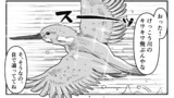 1話:カワセミを撮ろう