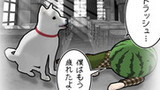 パトラッシュ編