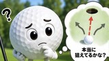 白まる君の大冒険！！