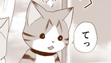 ねこがたり怖い話