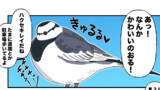 男子高校生が鳥見る漫画