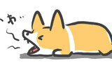 犬目線相談室