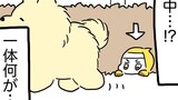 ぶっとび忍者　かちゃ丸 2
