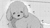 拾ったのが本当に猫かは疑わしい