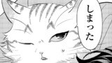 拾ったのが本当に猫かは疑わしい