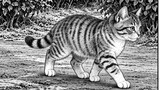 吾輩は猫である　原作夏目漱石