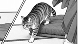 吾輩は猫である　原作夏目漱石