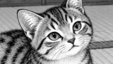 吾輩は猫である　原作夏目漱石