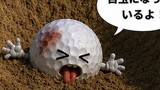 白まる君の大冒険！！
