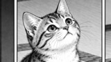吾輩は猫である　原作夏目漱石