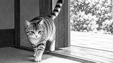 吾輩は猫である　原作夏目漱石