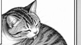 吾輩は猫である　原作夏目漱石