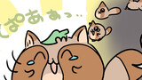 ポンポコンヌ