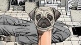 パグハンド