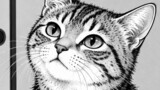 吾輩は猫である　原作夏目漱石