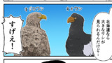 男子高校生が鳥見る漫画