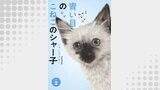 青い目のこねこのシャー子（電子分冊版）（エスケープコミックス）