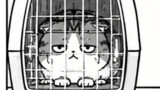ちっちの日常