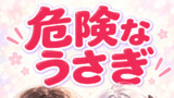 ほろにがプリン