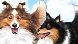 DOG SIGNAL
