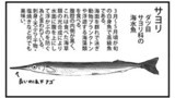 針魚