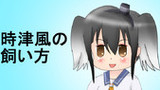 時津風の飼い方