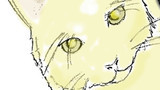 第13季　小生はここです！