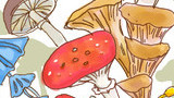 第四話　ぶなしめじ＜栽培編＞