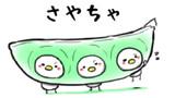 ふぅちゃ1