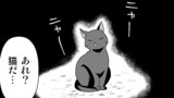 第43話 猫