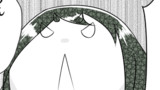 我が家の七尾ちゃん1