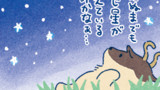 第65話 星空