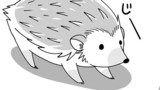 ハリネズミと「習性」